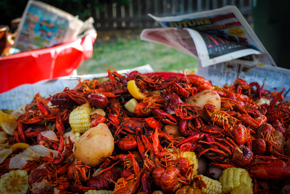 crawfish
